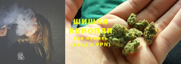 PSILOCYBIN Абаза