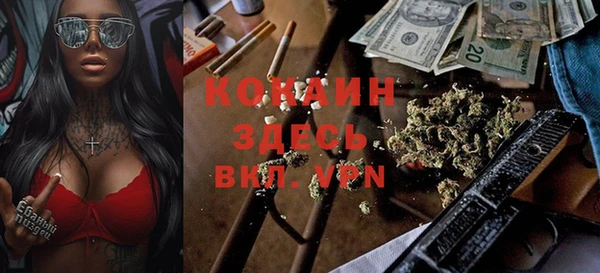 PSILOCYBIN Абаза