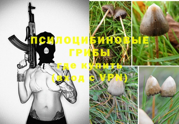 PSILOCYBIN Абаза