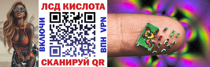 Наркотические марки 1500мкг  магазин    Владимир 