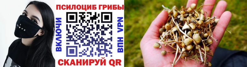 Галлюциногенные грибы мицелий  Владимир 